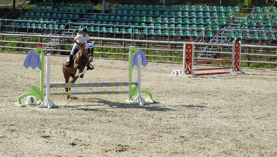 Sport de performanță