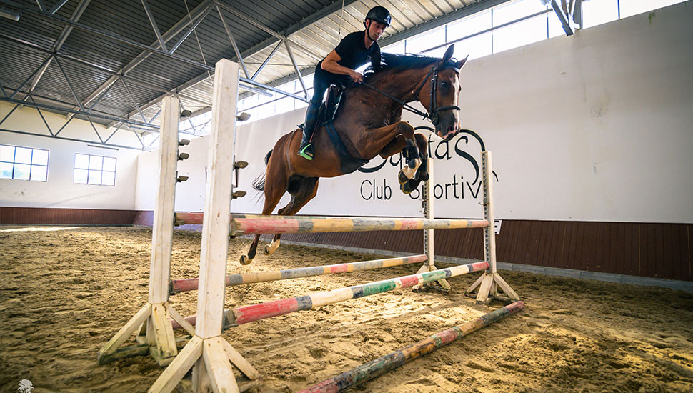 Sport de performanță