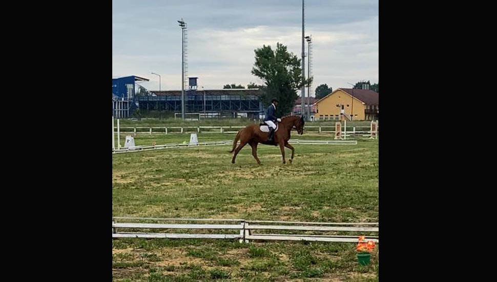 Sport de performanță