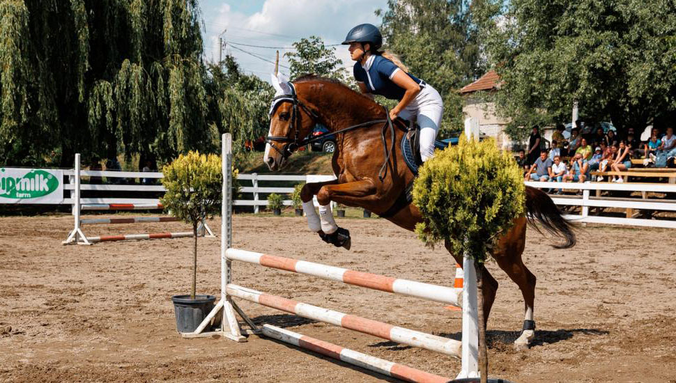 Sport de performanță