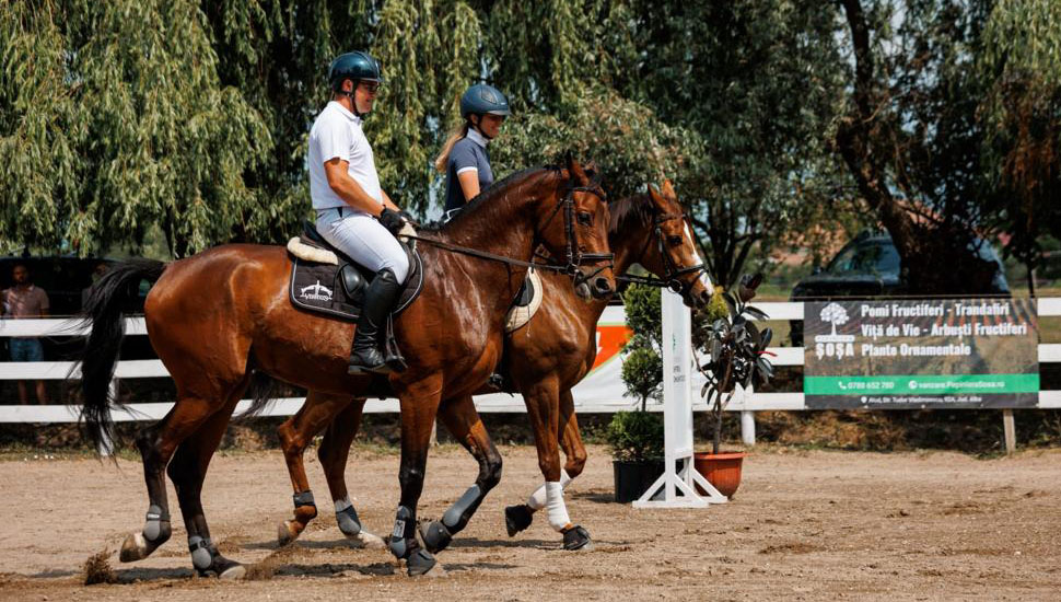 Sport de performanță