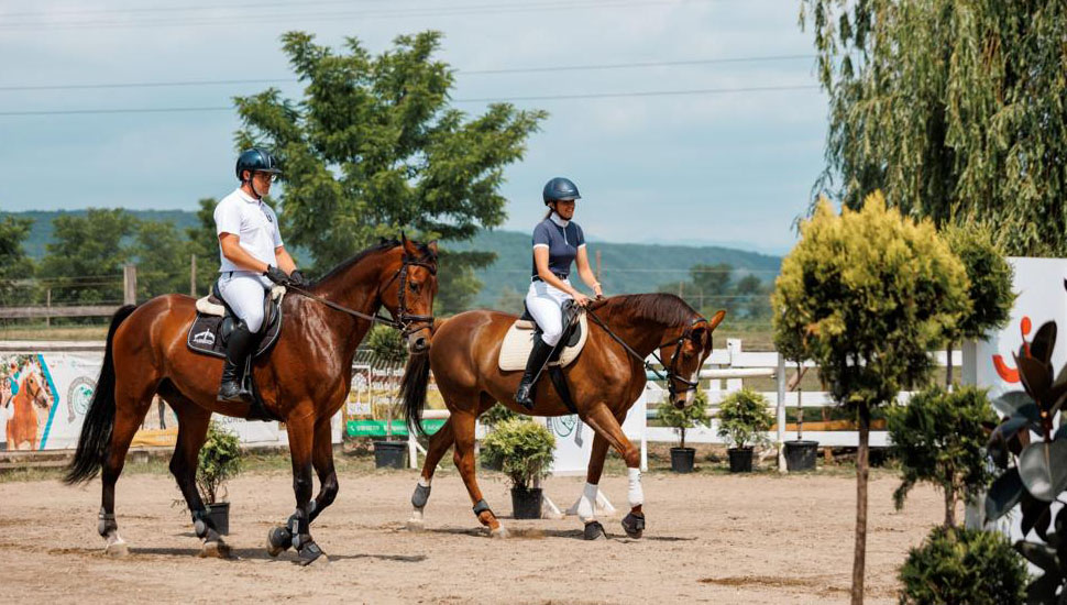 Sport de performanță