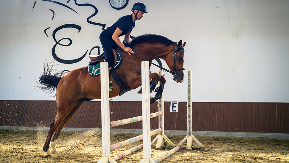 Sport de performanță