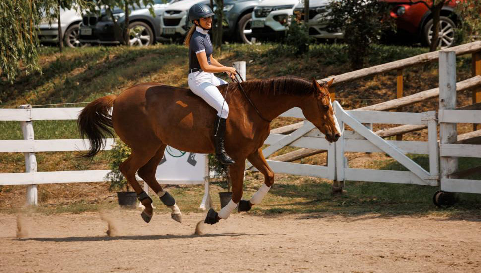 Sport de performanță