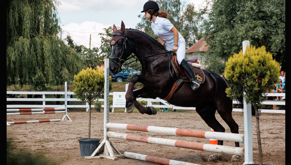 Sport de performanță