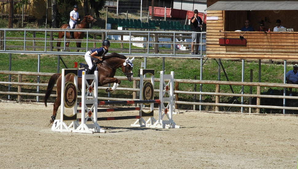 Sport de performanță