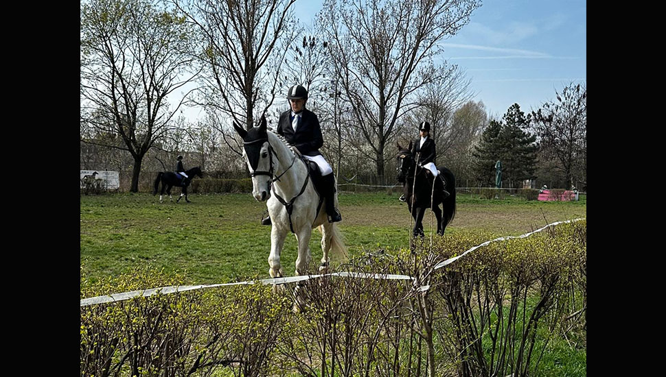 Sport de performanță