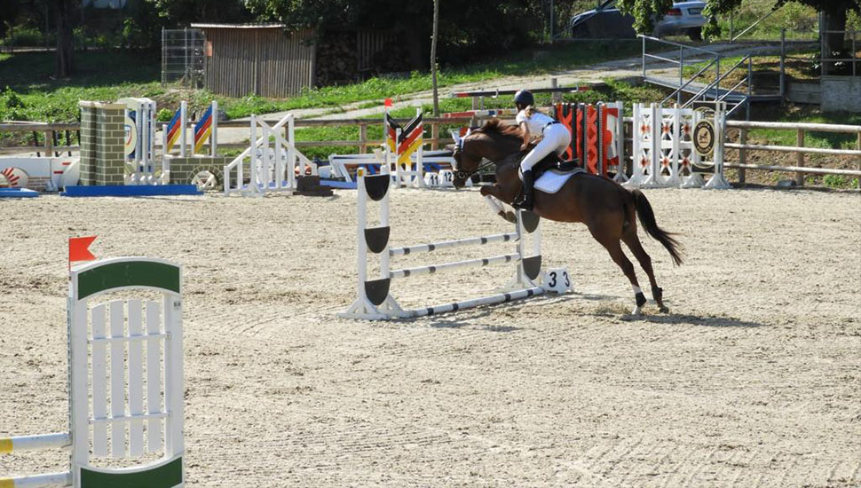 Sport de performanță